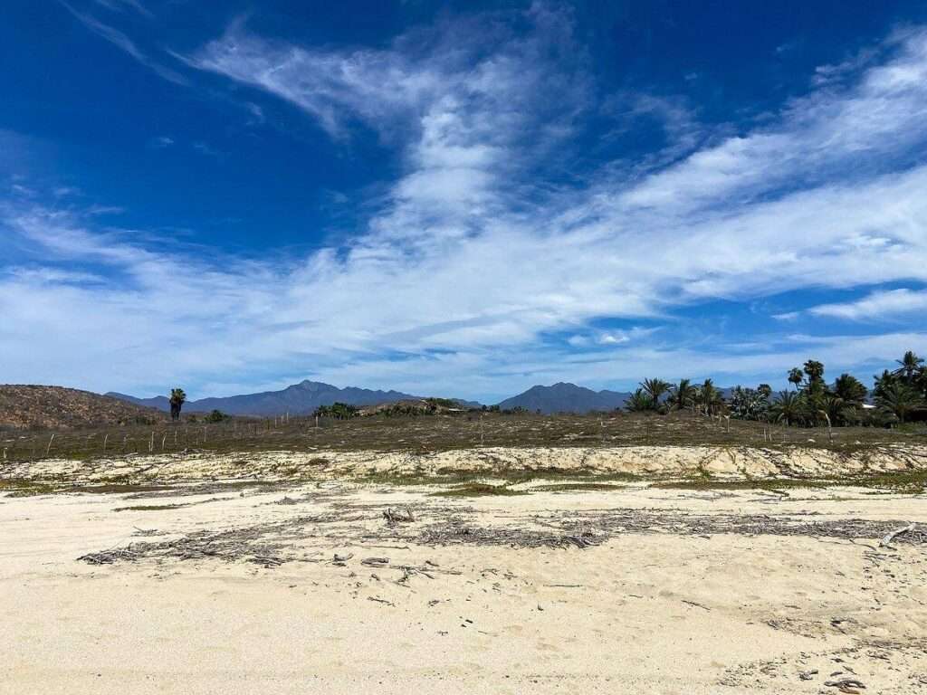 Cabo del Sol Jacarandas 🏡 ¡Casa en venta en Jacarandas! 🌿✨Descubre tu nuevo hogar, esta propiedad está lista para habitarse y cuenta con excelentes detalles que marcan la diferencia.🔹 Características principales:• 3 recámaras • 2 baños completos• Cocina integral 💎 Recámara principal:• Clóset con excelente capacidad• Peinador integrado con lámpara• Iluminación interior en clóset y área de peinador• Baño privado con cancel🌳 Exterior y extras:• 4 minisplits inverter • Patio frontal con césped sintético• Pérgola delantera y trasera, ideal para reuniones o descanso• Cisterna de 5,000 litros• Tinaco de 1,100 litros💰 Precio: – Elias Calles, Pacific, BS