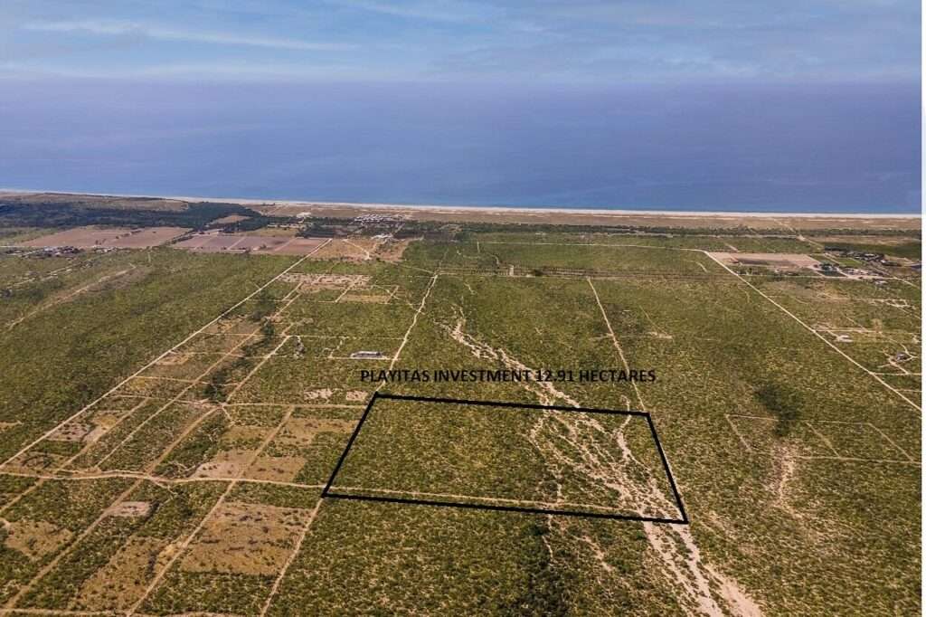 Cabo del Sol Jacarandas 🏡 ¡Casa en venta en Jacarandas! 🌿✨Descubre tu nuevo hogar, esta propiedad está lista para habitarse y cuenta con excelentes detalles que marcan la diferencia.🔹 Características principales:• 3 recámaras • 2 baños completos• Cocina integral 💎 Recámara principal:• Clóset con excelente capacidad• Peinador integrado con lámpara• Iluminación interior en clóset y área de peinador• Baño privado con cancel🌳 Exterior y extras:• 4 minisplits inverter • Patio frontal con césped sintético• Pérgola delantera y trasera, ideal para reuniones o descanso• Cisterna de 5,000 litros• Tinaco de 1,100 litros💰 Precio: – Playitas Investment 12.91 Has, Pacific, BS