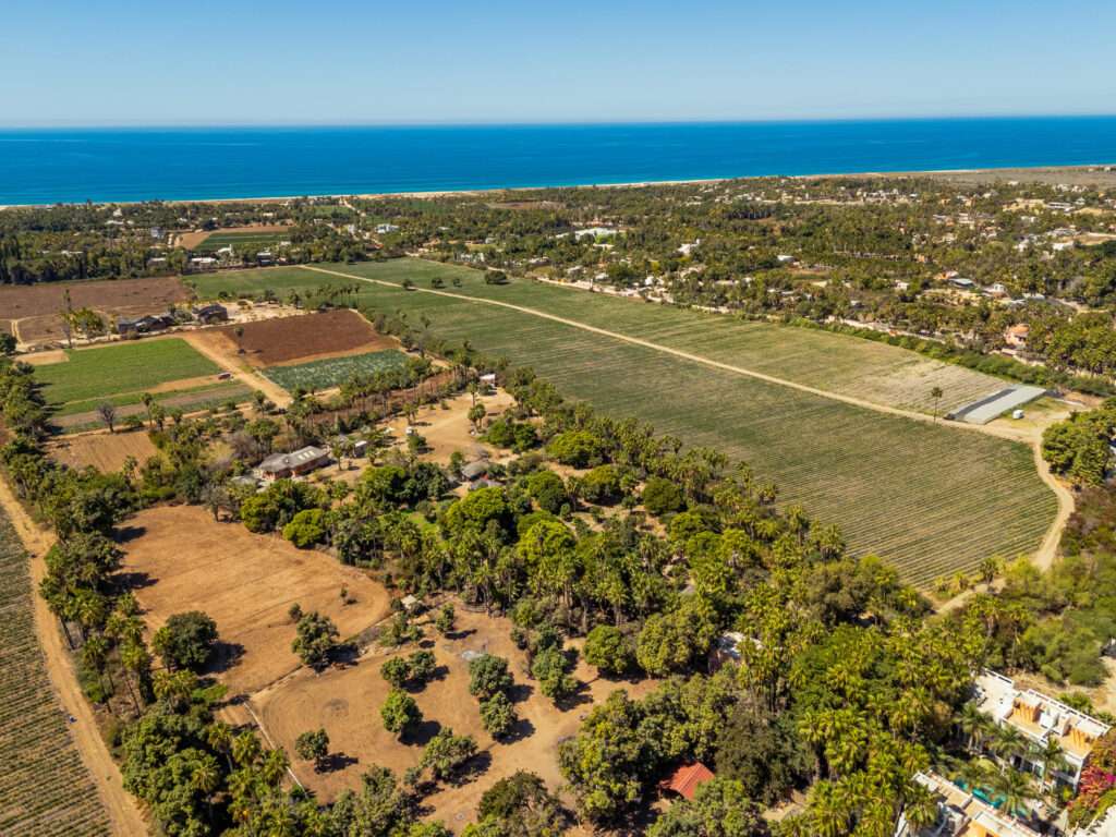 Cabo del Sol El Tezal W:General Prime Commercial Opportunity in Cabo San Lucas!Unlock the potential of this expansive 6,000+ square meter perfectly flat commercial lot, ideally situated in the high-demand Corridor of Cabo San Lucas. Whether you envision a thriving multi-family development with commercial space on the ground floor or a dynamic business hub, this property offers endless possibilities.Incredible value - priced to sell! Don't miss this rare opportunity to invest in one of the most sought-after locations in Cabo.Call today for more details – Rancho El Guamuchil, Pacific, Pacific, BS